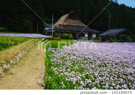 用鮮花的風景 用鮮花的風景 143194074