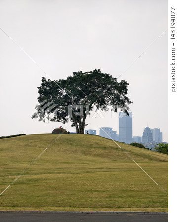 Lonely tree on a hill with city skyline in the background in Nan Lonely tree on a hill with city skyline in the background in Nan 143194077