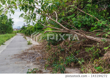 The Yadagawa River shows the scars of record-breaking short-term heavy rainfall (Nagoya City, Aichi Prefecture) The Yadagawa River shows the scars of record-breaking short-term heavy rainfall (Nagoya City, Aichi Prefecture) 143194272