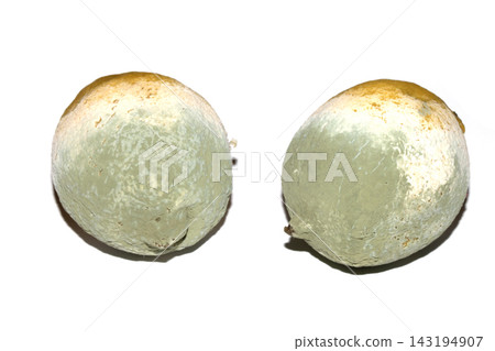 A mouldy unedible rotten lemon fruit on white background A mouldy unedible rotten lemon fruit on white background 143194907