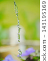 Water art Water art 143195169
