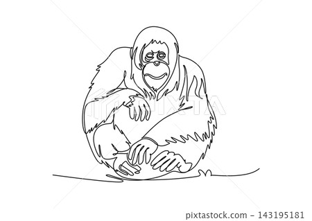Single one line drawing wild orangutan animal sitting calmly, endangered species conservation, biodiversity protection, tropical jungle fauna. Continuous line draw design graphic vector illustration Single one line drawing wild orangutan animal sitting calmly, endangered species conservation, biodiversity protection, tropical jungle fauna. Continuous line draw design graphic vector illustration 143195181