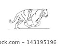 Single continuous line drawing wild tiger running swiftly across the jungle floor. Speed, strength, and striped body of tropical rainforest predator. One line draw graphic design vector illustration 143195196