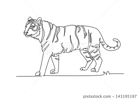 Single continuous line drawing wild tiger animal prowling gracefully in the jungle, endangered species conservation, biodiversity, and predator fauna. One line draw graphic design vector illustration Single continuous line drawing wild tiger animal prowling gracefully in the jungle, endangered species conservation, biodiversity, and predator fauna. One line draw graphic design vector illustration 143195197