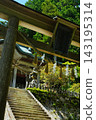 Tamaki Shrine, a place you can only visit if you are invited. Tamaki Shrine, a place you can only visit if you are invited. 143195314
