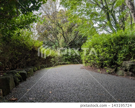 綠色環繞的道路 143195724