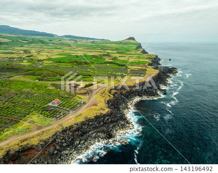 Aerial view of the rocky coastline and green fields near Biscoitos Aerial view of the rocky coastline and green fields near Biscoitos 143196492