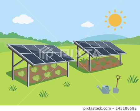 農光互補發電示意圖和高麗菜田。 農光互補發電示意圖和高麗菜田。 143196592