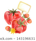 Red tomatoes, isolated watercolor composition. Illustration of juicy, ripe vegetables, hand-drawn for store, food product, and packaging design. 143196631