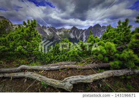 Mountain landscape with alpine pine trees and rocky peaks 143196671