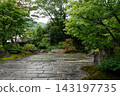 cobblestone road surrounded by greenery 143197735
