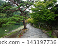 Lush park 143197736