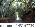  Bamboo grove 143197739