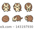 Cute armadillo character material 143197930