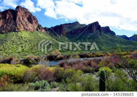 Salt River Recreation Area Arizona Salt River Recreation Area Arizona 143198685
