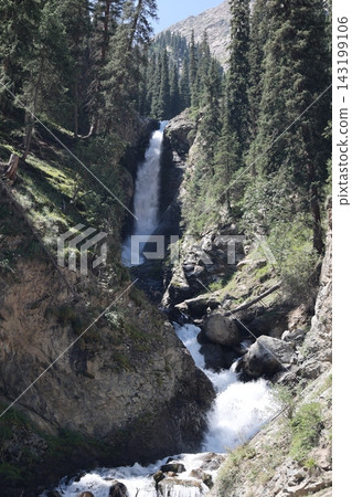 Mountain Waterfall in Kyrgyzstan Surrounded by Coniferous Forest and Rocky Mountains Mountain Waterfall in Kyrgyzstan Surrounded by Coniferous Forest and Rocky Mountains 143199106