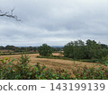 Autumn English Countryside Landscape with Dry Meadow and Stormy Sky 143199139
