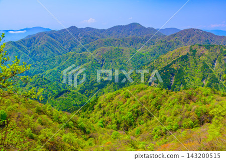 A dynamic photograph taken from the hiking trail on the Okura Ridge of Mt. Tonodake in the Tanzawa Mountains during early summer, capturing the magnificent mountain slopes beautifully colored with dazzling new greenery. A dynamic photograph taken from the hiking trail on the Okura Ridge of Mt. Tonodake in the Tanzawa Mountains during early summer, capturing the magnificent mountain slopes beautifully colored with dazzling new greenery. 143200515