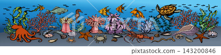 Cute underwater life. Vector drawing Cute underwater life. Vector drawing 143200846