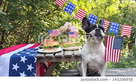 Cute dog and American flags Cute dog and American flags 143200956