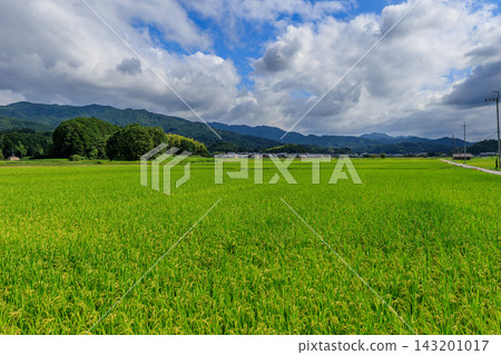 From Minamiyama-cho, Kashihara City, to the rice fields and the settlement of Okuyama, Asuka Village, the Manyo Culture Museum, and the Manyo Observation Deck, September 17, 2026. 143201017