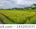 2026年9月17日，奧卡村、飛鳥村和飛鳥寺的稻田（天空中有燕子），右側背景是三輪山。 143201035
