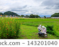 岡縣飛鳥村：一戶農戶，背景是聖德太子建造的橘寺。 2026年9月17日。 143201040