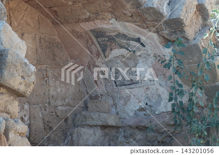 Salamis ruderi romani cipro ancient mosaic art on decaying stone wall ruin. Salamis ruderi romani cipro Salamis ruderi romani cipro ancient mosaic art on decaying stone wall ruin. Salamis ruderi romani cipro 143201056
