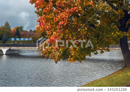 Autumn foliage and waterfront of Lower Pond in Kaliningrad, Russia Autumn foliage and waterfront of Lower Pond in Kaliningrad, Russia 143201280