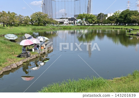 Fishing scene at the central pond in Ochiai Park 143201639