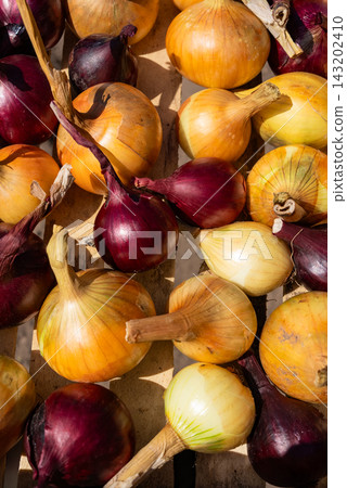Closeup Of Freshly Harvested Organic Onions. Mixed Onion Varieties, Farm Produce, Food Background And Culinary Ingredient Concept. 143202410