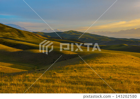 Golden Hour Rolling Hills with Snow-Capped Mountains Golden Hour Rolling Hills with Snow-Capped Mountains 143202580