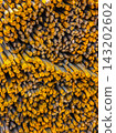 Close-Up of Stacked Rusty Metal Reinforcing Bars 143202602
