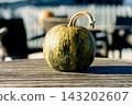 Green striped pumpkin rests on a wooden table outdoors. Concept of harvest, autumn, food, agriculture, decoration, seasonality, abundance and nature 143202607