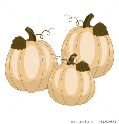 Cute flat vectors pumpkins with green leaves and curly vines Cute flat vectors pumpkins with green leaves and curly vines 143202623