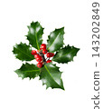 Red holly berries and green leaves isolated on white background. Traditional Christmas plant for holiday greeting cards, winter promotions, festive banners and seasonal advertising. 143202849