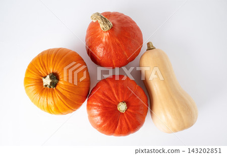 Variety of pumpkins top view on white background. Butternut, red kuri and orange squash for autumn harvest, Halloween and Thanksgiving designs. Variety of pumpkins top view on white background. Butternut, red kuri and orange squash for autumn harvest, Halloween and Thanksgiving designs. 143202851
