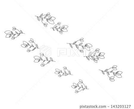 Botanical illustration of delicate floral branches with small flowers and leaves for decoration Botanical illustration of delicate floral branches with small flowers and leaves for decoration 143203127