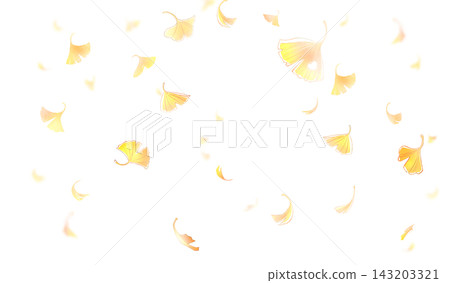 Falling ginkgo leaves (horizontal) Falling ginkgo leaves (horizontal) 143203321