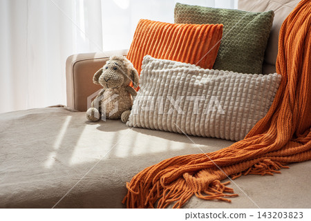 Cozy Living Room Scene with Plush Pillows and Knitted Blanket on a Sofa 143203823