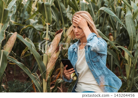 Sad farmer holding smartphone and checking corn plants in field 143204456