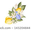 Lemons with flax flowers, citrus blossoms and green foliage. Botanical vector composition. 143204844