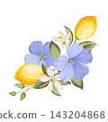 Lemons with flax flowers, citrus blossoms and green foliage. Botanical vector composition. 143204868