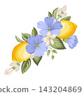 Botanical arrangement with lemons, flax flowers and citrus blossoms. Vector floral illustration. 143204869