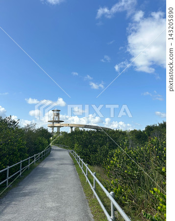 Paved trail leading to Shark Valley Observation Tower, Everglades NP Paved trail leading to Shark Valley Observation Tower, Everglades NP 143205890