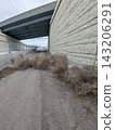 Tumbleweeds piled up on a path under a highway overpass in Utah, USA 143206291