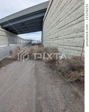 Tumbleweeds piled up on a path under a highway overpass in Utah, USA Tumbleweeds piled up on a path under a highway overpass in Utah, USA 143206291