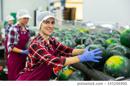 Cheerful woman sorting watermelons in factory Cheerful woman sorting watermelons in factory 143206900