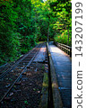 Akasawa Forest Railway in Akasawa Natural Recreation Forest, Nagano Prefecture 143207199