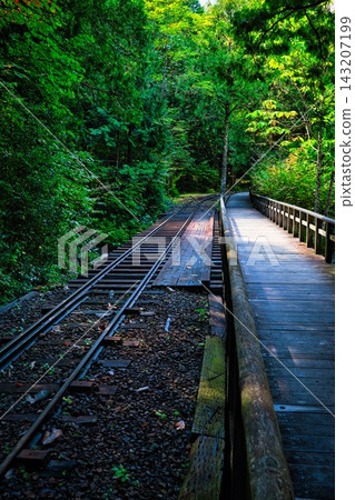 Akasawa Forest Railway in Akasawa Natural Recreation Forest, Nagano Prefecture Akasawa Forest Railway in Akasawa Natural Recreation Forest, Nagano Prefecture 143207199